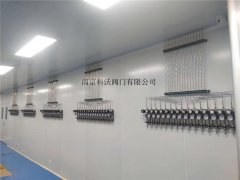 湖北省銀豐鼎誠生物工程有限公司實驗室氣體控制系統(tǒng)工程
